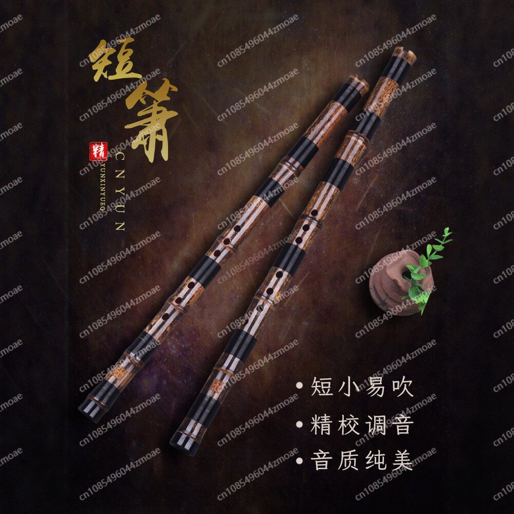 ขลุ่ยไม้ไผ่แบบมืออาชีพ ขลุ่ยเส - Musical Instrument You Blow บทวิจารณ์และราคา