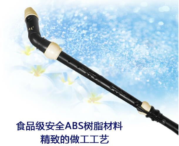 Professional 8 หลุม Baroque Ba - Musical Instrument In English บทวิจารณ์และราคา