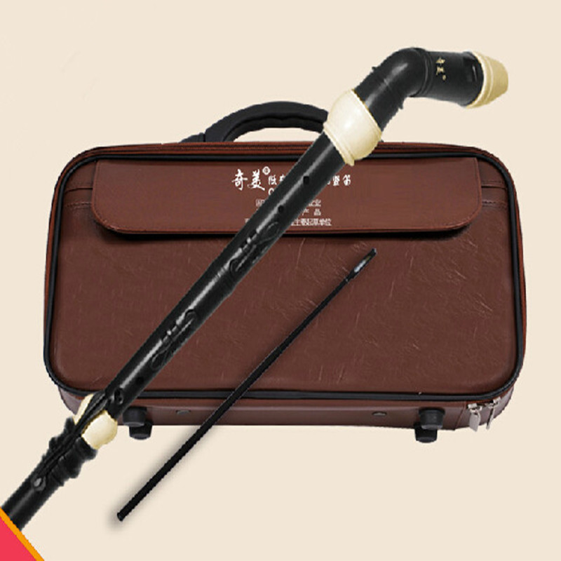 Professional 8 หลุม Baroque Ba - Musical Instrument In English บทวิจารณ์และราคา