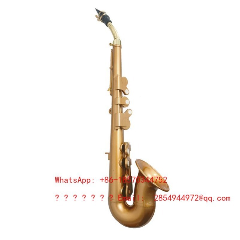 แซกโซโฟนเรซิ่น เครื่องดนตรี บี - Musical Instrument Easy To Learn บทวิจารณ์และราคา