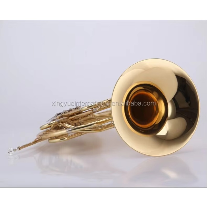 เครื่องดนตรีเฟรนช์ฮอร์นแบบมืออ - Musical Instrument French บทวิจารณ์และราคา