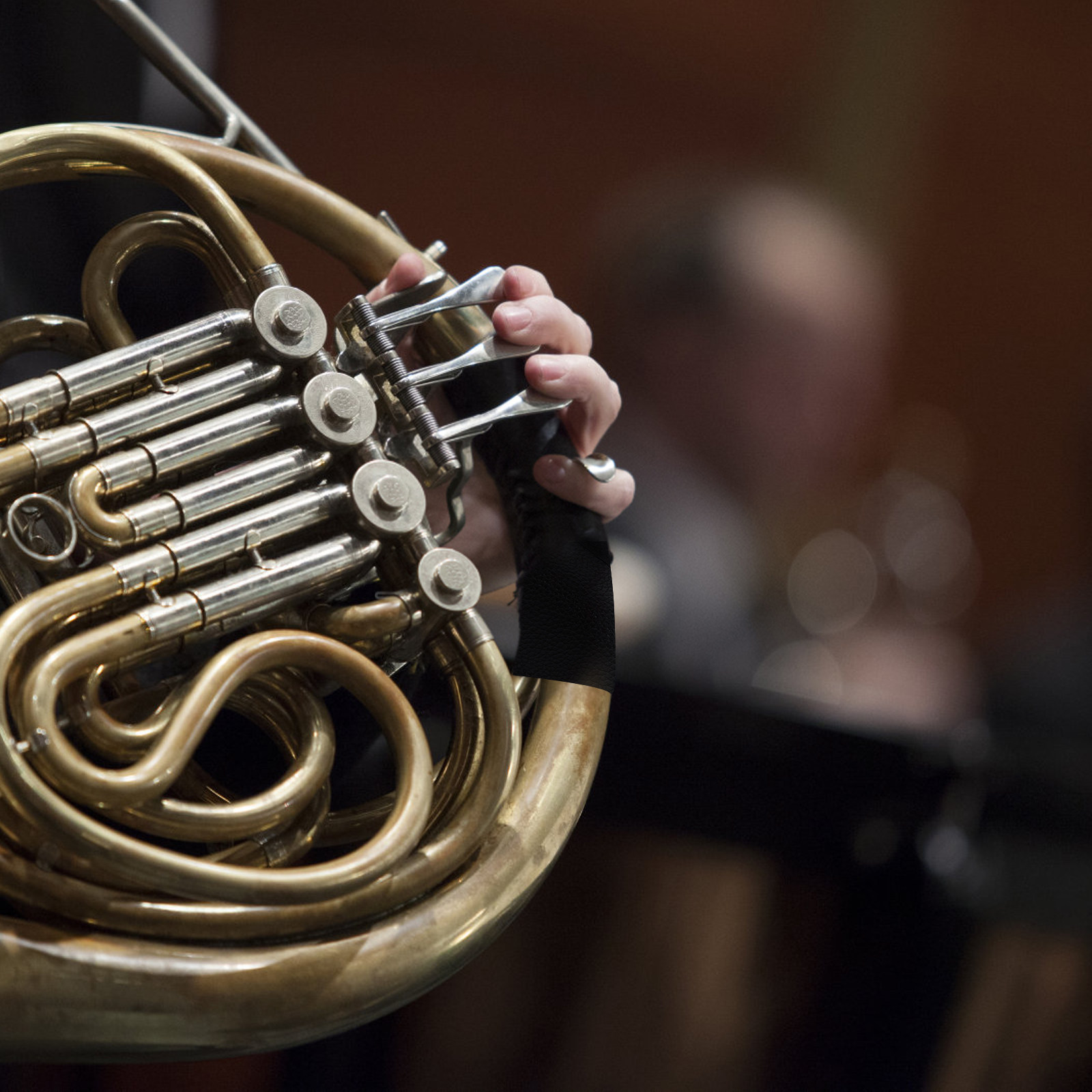แผ่นรองป้องกันการสึกหรอสำหรับเ - Musical Instrument French บทวิจารณ์และราคา